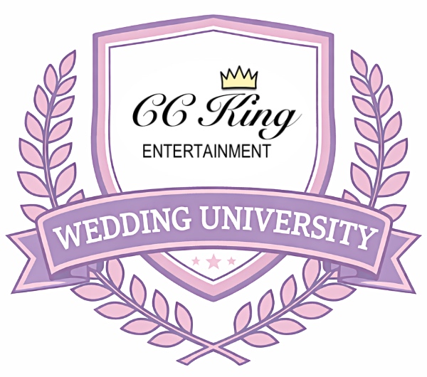 Michigan wedding reception DJ